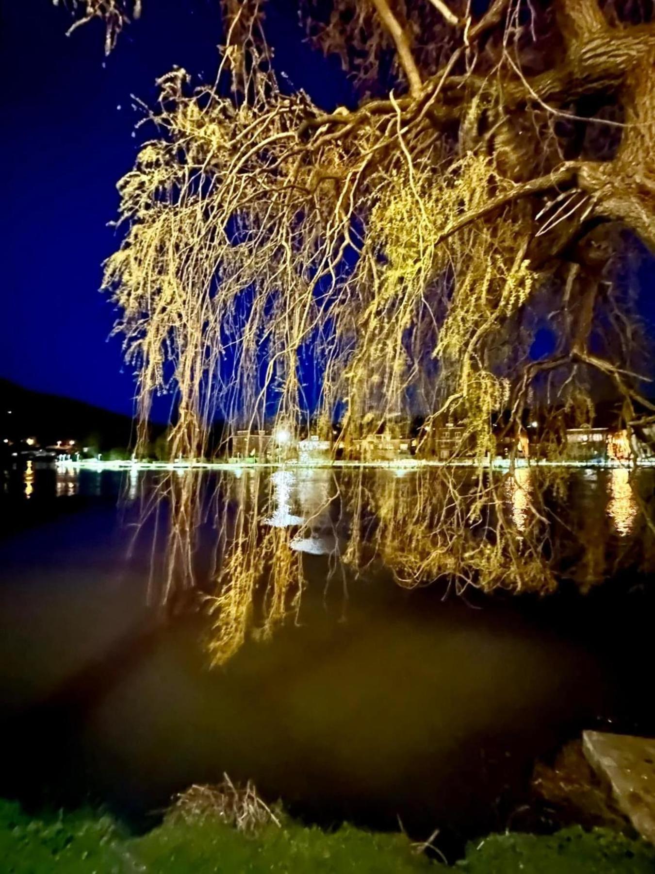 Villa Pieds Dans L'Eau Private Wellness Bordure De Meuse Lustin Exterior foto